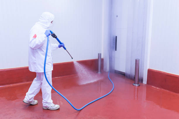 Best Sidewalk and Walkway Cleaning  in Bling, AR